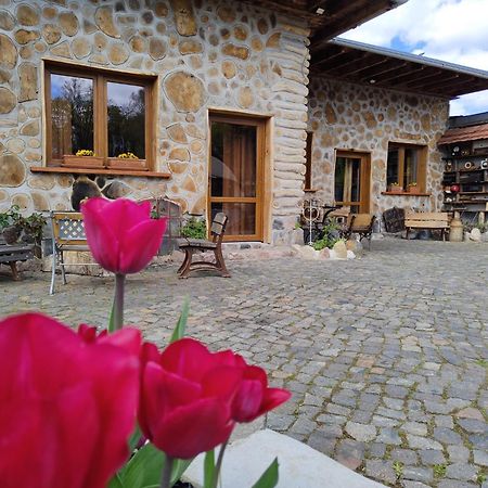 Pokoje Goscinne Skalnik - Agroturystyka Kostrzyn nad Odra Exteriör bild