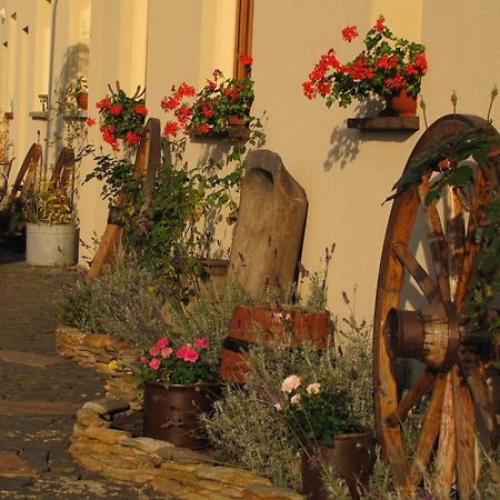 Pokoje Goscinne Skalnik - Agroturystyka Kostrzyn nad Odra Exteriör bild