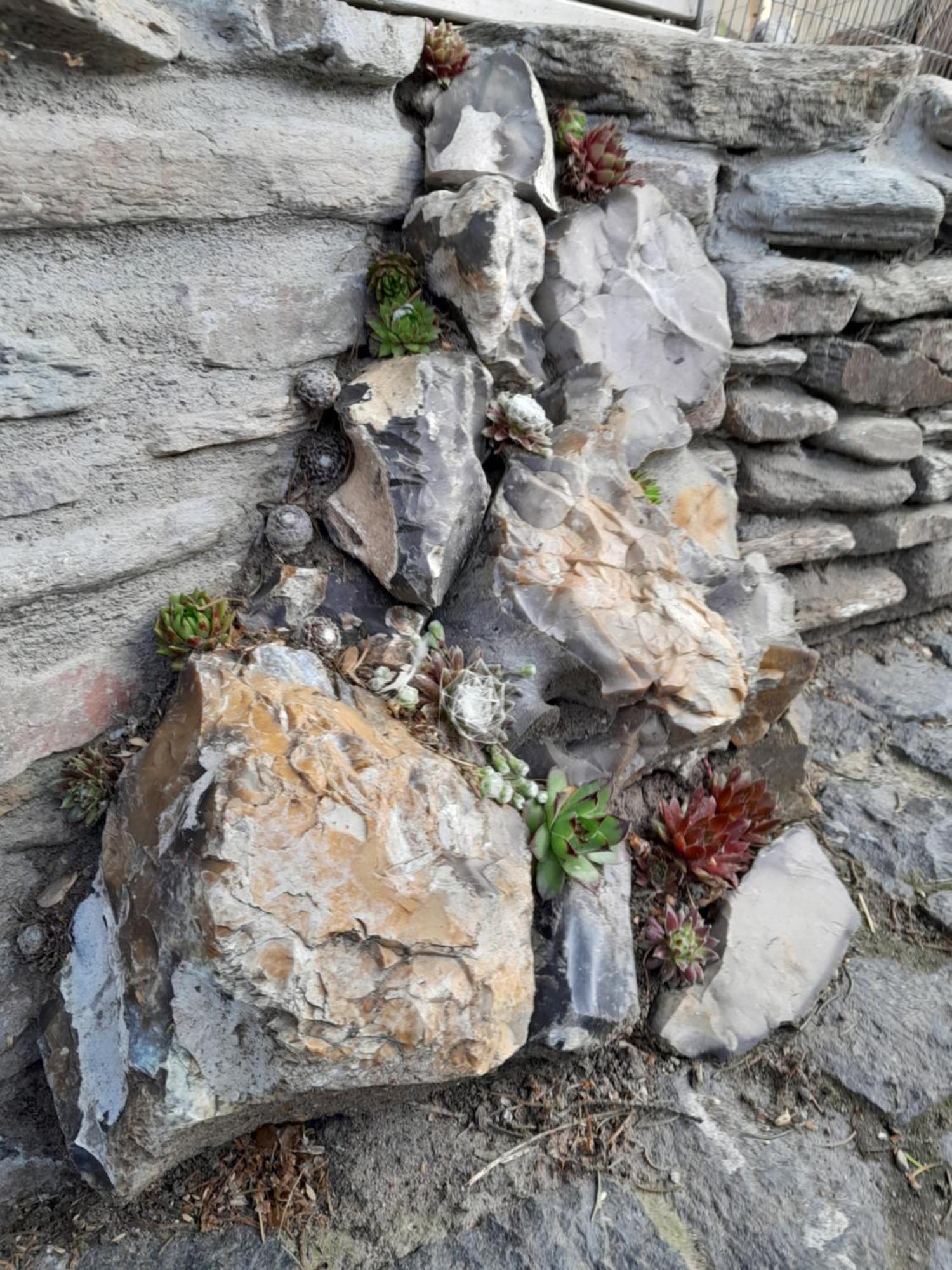 Pokoje Goscinne Skalnik - Agroturystyka Kostrzyn nad Odra Exteriör bild