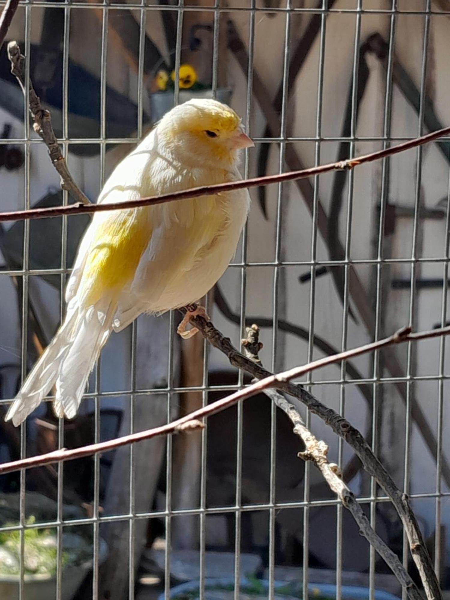 Pokoje Goscinne Skalnik - Agroturystyka Kostrzyn nad Odra Exteriör bild