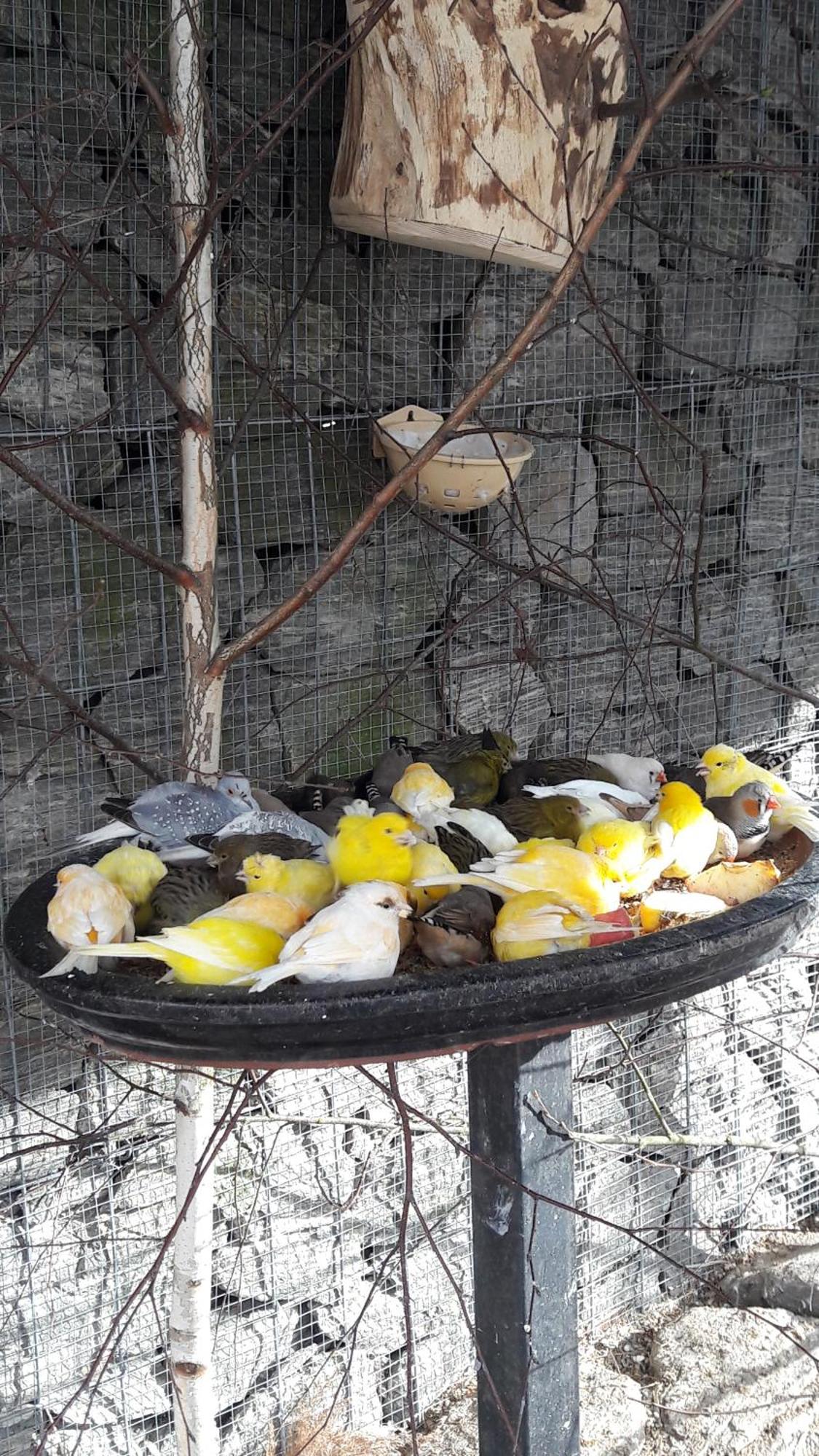 Pokoje Goscinne Skalnik - Agroturystyka Kostrzyn nad Odra Exteriör bild