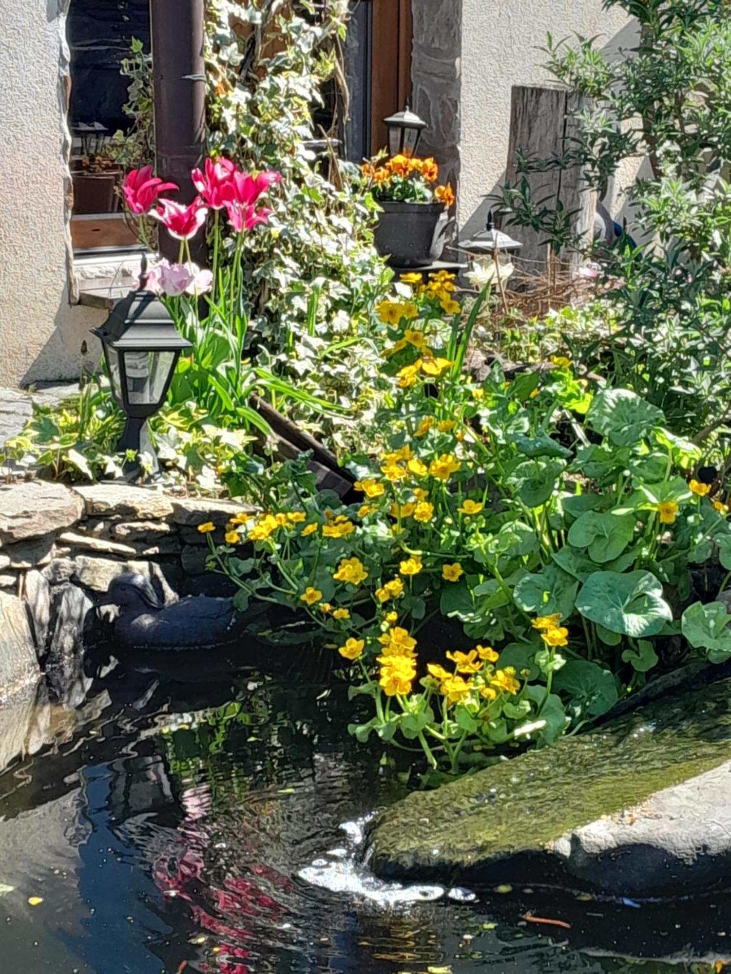 Pokoje Goscinne Skalnik - Agroturystyka Kostrzyn nad Odra Exteriör bild